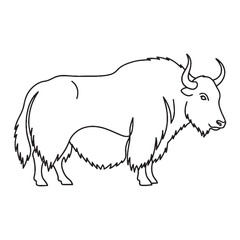 Traditional Yak Line Art – Yak Vector Outline Drawing with Clear Furry Silhouette – Yak Drawing – Vector of Yak – Yak Outline

