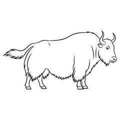 Detailed Yak Line Art – Yak Vector Outline Drawing with Iconic Mountain Animal Features – Yak Drawing – Vector of Yak – Yak Outline

