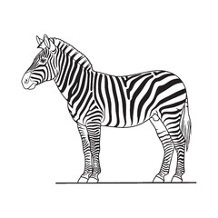 Fototapeta premium Minimal Zebra Line Art – Zebra Vector Illustration Artistic Drawing with Smooth Stripe Flow – Zebra Drawing – Line Art Drawing of Zebra – Zebra Icon