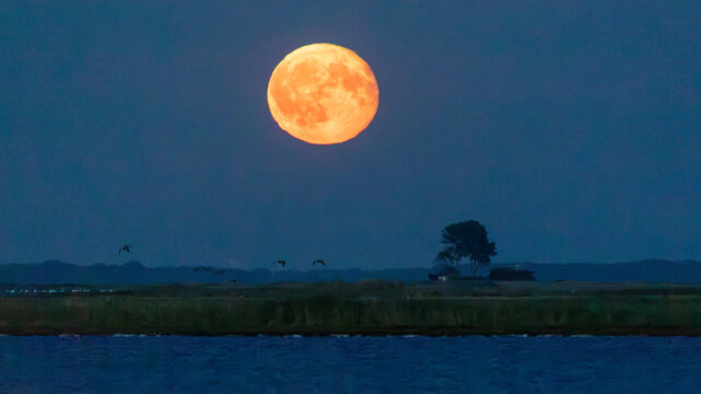 Vollmond &uuml;ber dem Bodden vor Zingst.