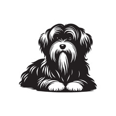 Havanese Dog Vector - Illistration of Havanese dog Silhouette - Havanese dog silhouette.