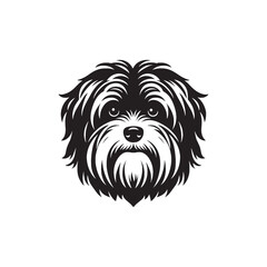 Havanese Dog Vector - Illistration of Havanese dog Silhouette - Havanese dog silhouette.