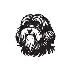 Havanese Dog Vector - Illistration of Havanese dog Silhouette - Havanese dog silhouette.