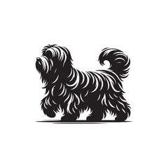 Havanese Dog Vector - Illistration of Havanese dog Silhouette - Havanese dog silhouette.