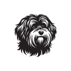 Havanese Dog Vector - Illistration of Havanese dog Silhouette - Havanese dog silhouette.