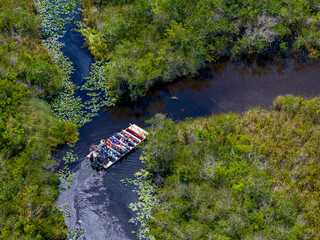 Airboat ride in Miami through everglades