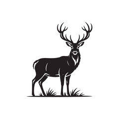 Majestic stag with antlers standing in grass isolated on white background