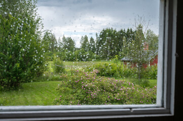 View of a garden through a window on a rainy summer day. Finland