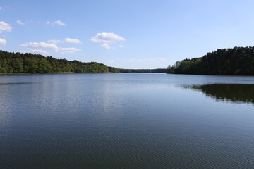 Lake Among The Trees