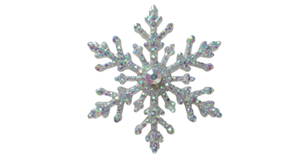 lavender isolated on white