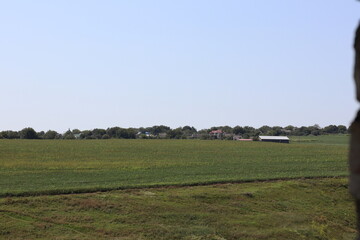 Fototapeta premium Vast green fields and distant farmhouses under a clear blue sky in rural landscape during midday