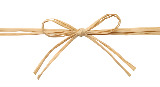 golden bow isolated on white