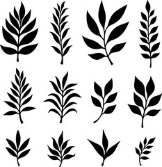 "Tropical Palm Trees and Leaves Silhouette Set"