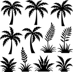 "Tropical Palm Trees and Leaves Silhouette Set"