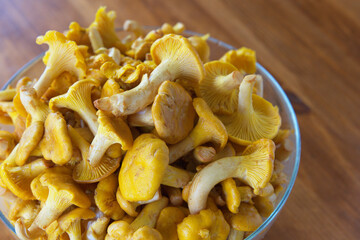 Chanterelle mushrooms in a glass bowl