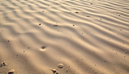 Obraz premium Close-up view of textured sand dunes showing the intricate patterns created by the wind. The warm light casts shadows that enhance the natural textures