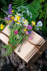 wild flowers, key and magic book in forest, nature background. spring summer season. composition with different flowers and notebook. botany, study of wild herbs, flowers. Green witch magic