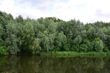 Lush Riverside Trees Reflecting in Calm Water Under Cloudy Skies