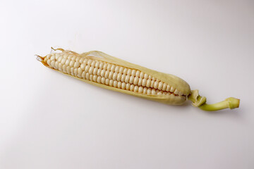 Fototapeta premium Fresh raw corn on a white background.