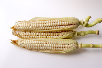 Fresh raw corn on a white background.
