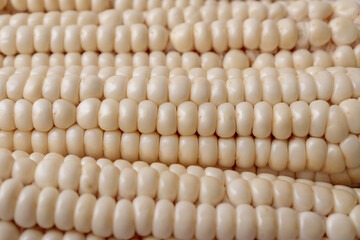 Fresh raw corn close-up.A clear macro shot of corn kernels.