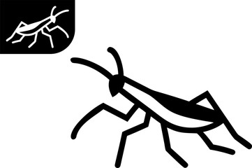 Top-Down View of a Praying Mantis