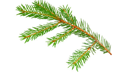 Naklejka premium plants transparent background 