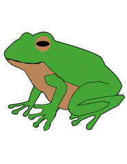frog