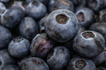 frische Blaubeeren aus Sachsen Anhalt