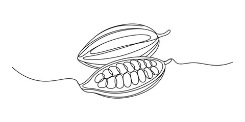 Whole and half cacao pod continuous line drawing vector illustration