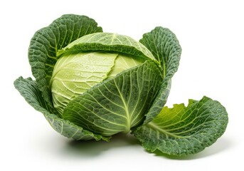 Fototapeta premium Fresh green cabbage isolated on white background, a healthy and nutritious vegetable
