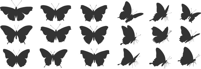 Set silhouettes of butterfly isolated on transparent background. Different poses. Vector illustration