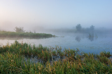 Fototapeta premium a wonderful foggy morning on the lakes near the village
