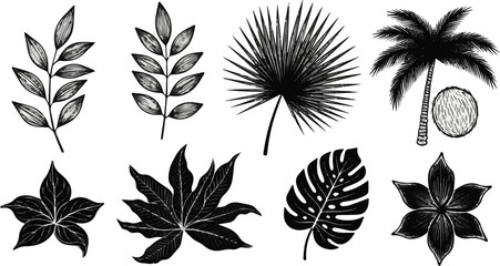 Fototapeta premium Create a kinds of deferent leaf, pattern, vector, flower, seamless, illustration, floral, nature, tree, design, set, plant, silhouette, autumn vector art with white background.