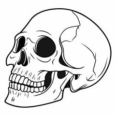Skull illustration isolated on white background, a symbol of death and danger