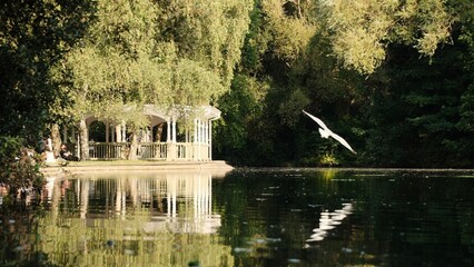 Tranquil lakeside scene with gazebo and bird.
