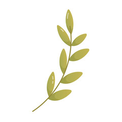 Simple green botanical branch with oval leaves