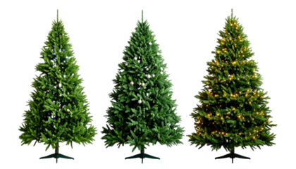 three distinct pine trees with dense green foliage and varying shapes one with decorative ornaments isolated on a transparent background suitable for holiday themes and designs isolated on transparent