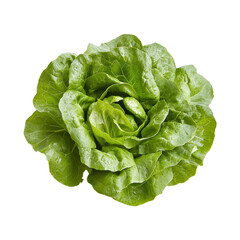 Fresh Green Lettuce Isolated on Black Background,, isolated on a transparent background