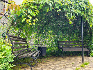 Seating area under a lush green canopy in a tranquil garden park during the day