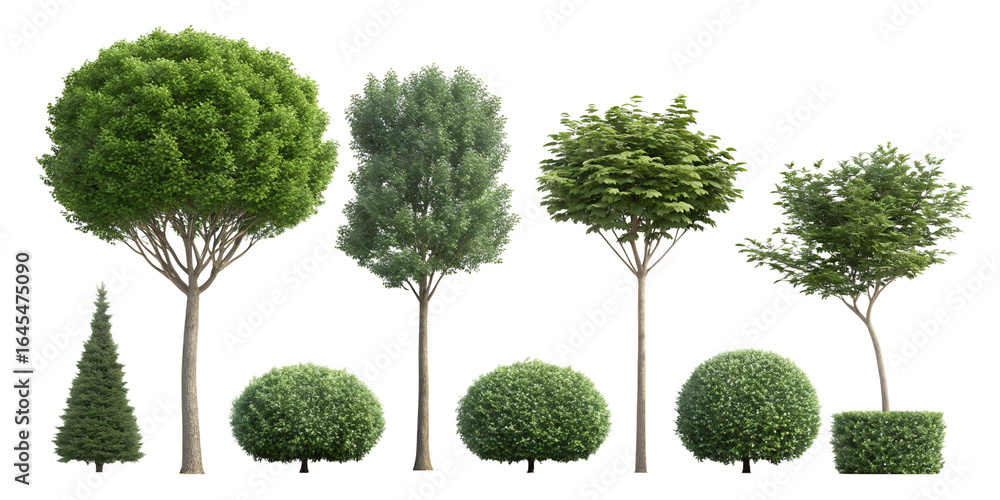 Poster various tree types standing tall in a serene natural environment showcasing vibrant foliage and uniq