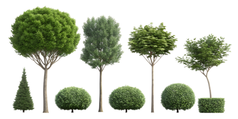 Various tree types standing tall in a serene natural environment showcasing vibrant foliage and unique shapes without any human presence Generative AI