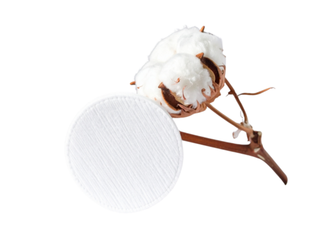  Close-Up of Cotton Stem and Single Makeup Pad with Gentle Side Lighting
