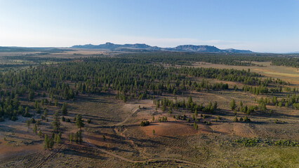 Forest and Prairie Landscape with Distant Mountains, Utah, USA