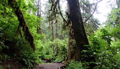 People trekking through a lush tropical rainforest, surrounded by dense foliage, tall trees, hanging vines, and misty morning light, capturing an immersive adventurous scene