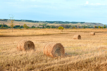 Beautiful landscape with straw bales in end of summer