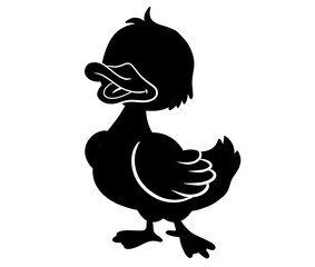Cute cartoon duck bird ,Goose Illustration 