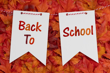 Back to School on pennant paper tags with fall leaves