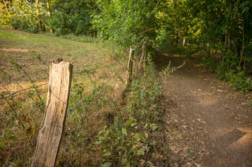 Old wooden fence with barbed wire separating grass field and forest path