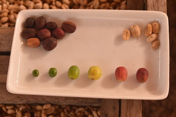 Macro series showing coffee cherries ripening from green to yellow to bright red—illustrating...